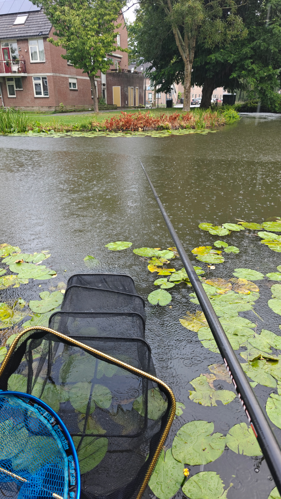 Thumbnail van activiteit